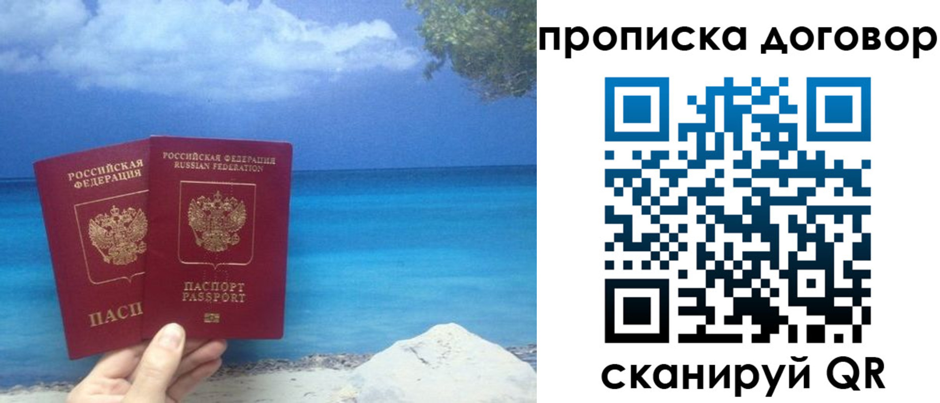 прописка в Ясном